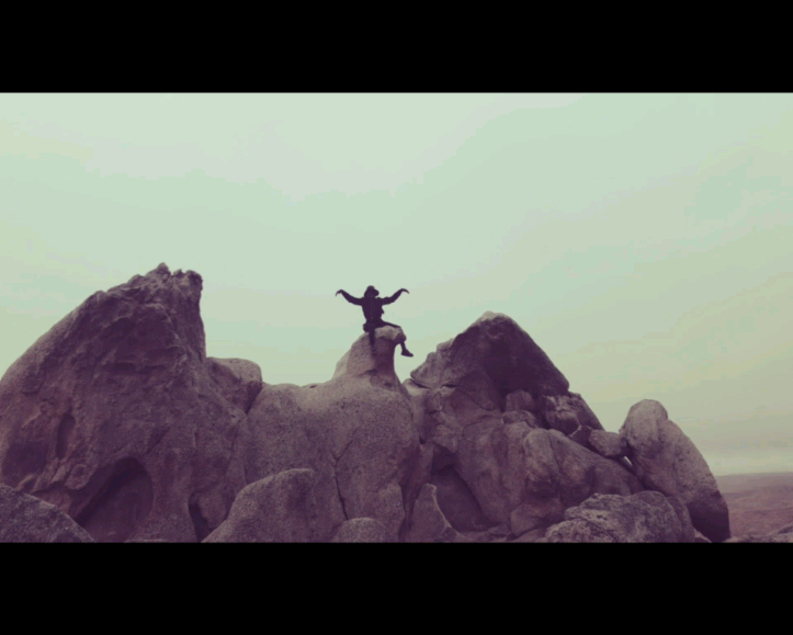 Free Bird